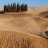 Exploring Tuscany…