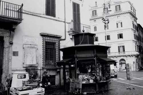 Best picture contest 2009: the winner