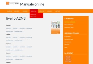 manualeonline02