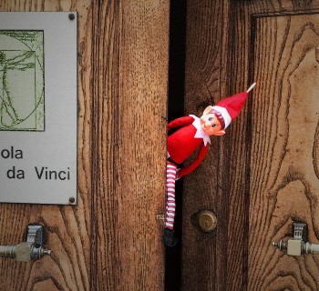 Foto Elfo alla Scuola Leonardo da Vinci di Siena