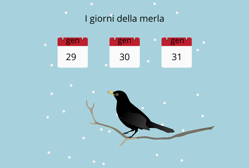Curiosità sulla lingua italiana: perché si chiamano giorni della merla?