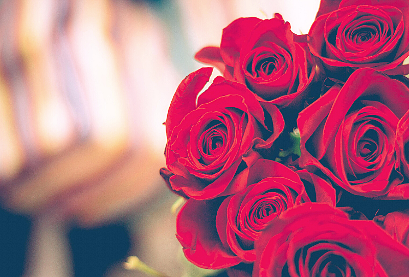 Perché a San Valentino si regalano le rose rosse
