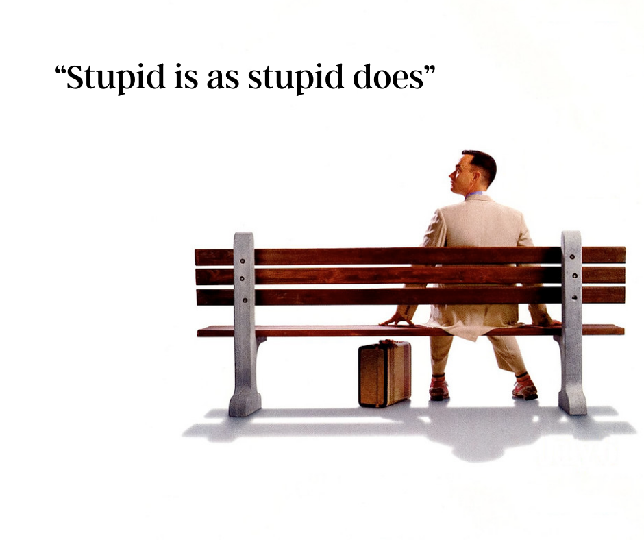  Stupid Is As Stupid Does What Does Forrest Gump Teach Us 