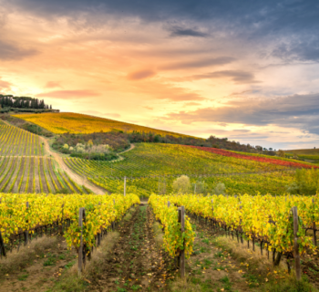 Via Romea del Chianti