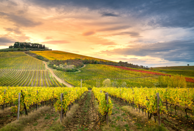 Via Romea del Chianti