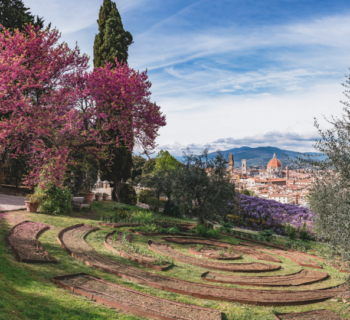 view of florence from Villa Bardini and wisteria blooming in the distance