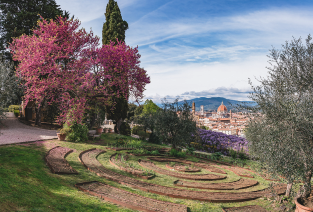 view of florence from Villa Bardini and wisteria blooming in the distance