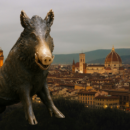 porcellino statue with florence in the background