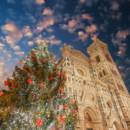 Florence's Duomo at Christmas with the Christmas tree in front of it