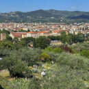 Iris Garden in Florence