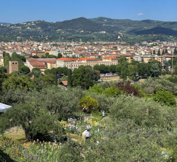 Iris Garden in Florence