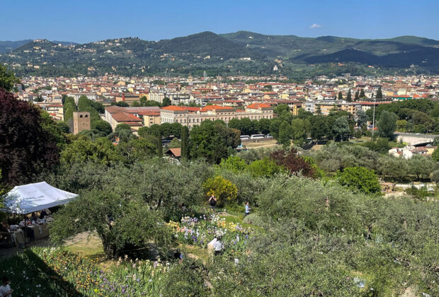 Iris Garden in Florence